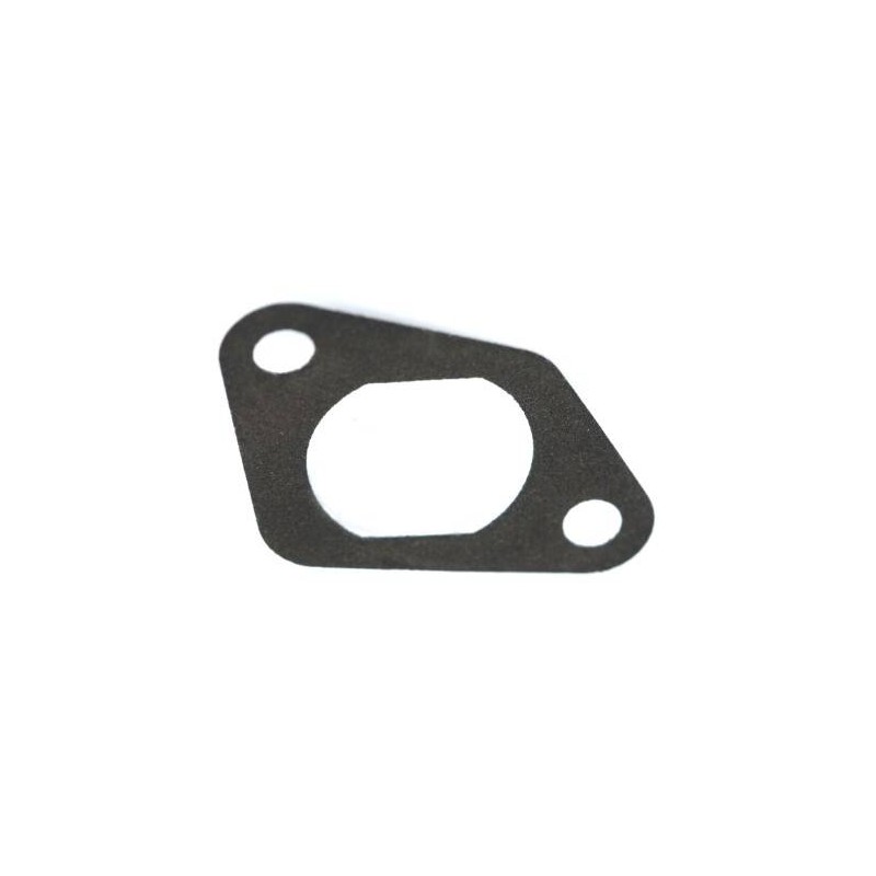 Chain Tensioner Gasket