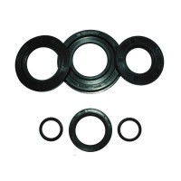 Oil Seal Kit SS 180
