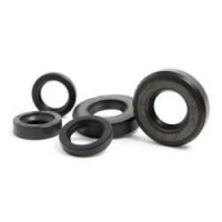 Oil Seal Kits