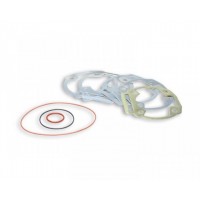 Gaskets & Parts for Malossi Cylinders