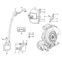 HT Coil/CDI and Parts