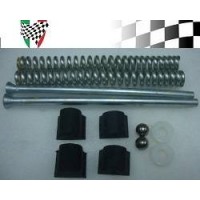 Fork Rebuild Kit GP