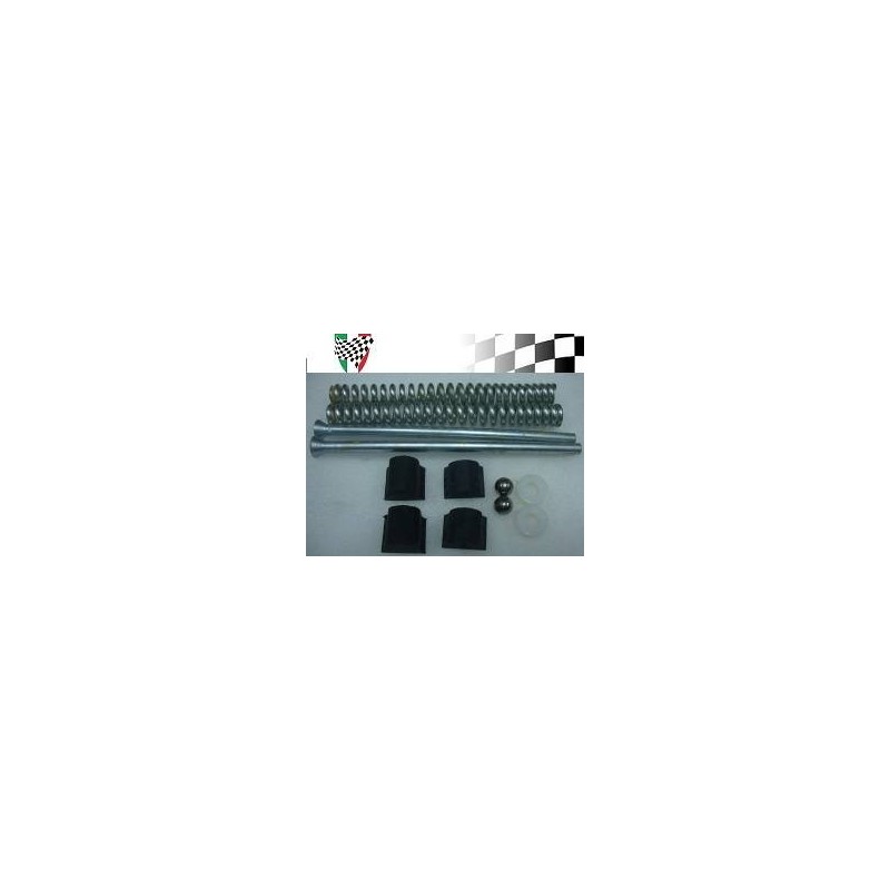Fork Rebuild Kit GP